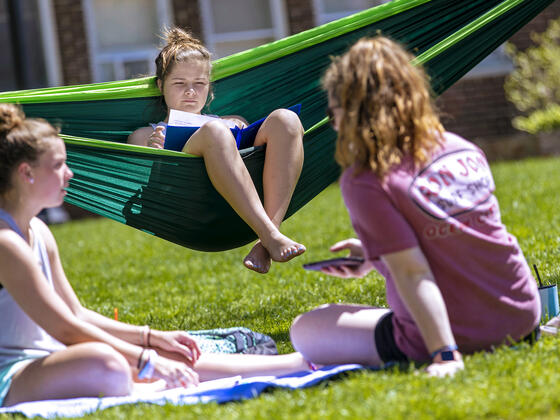 Student reading book sitting in hammock near students sitting on campus lawn.