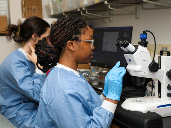 Two students use microscopes in the lab.