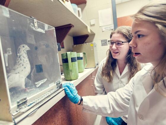 Two female students in lab coats look at a pigeon in a clear glass box.
