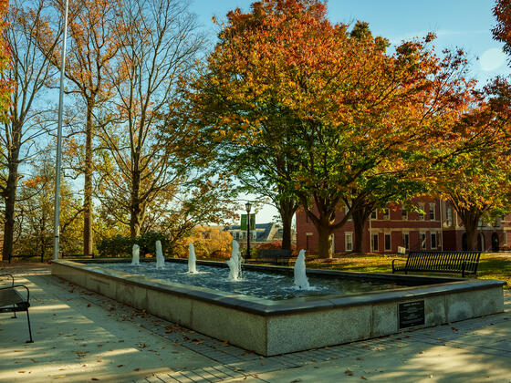McTeer-Zepp Plaza Fall