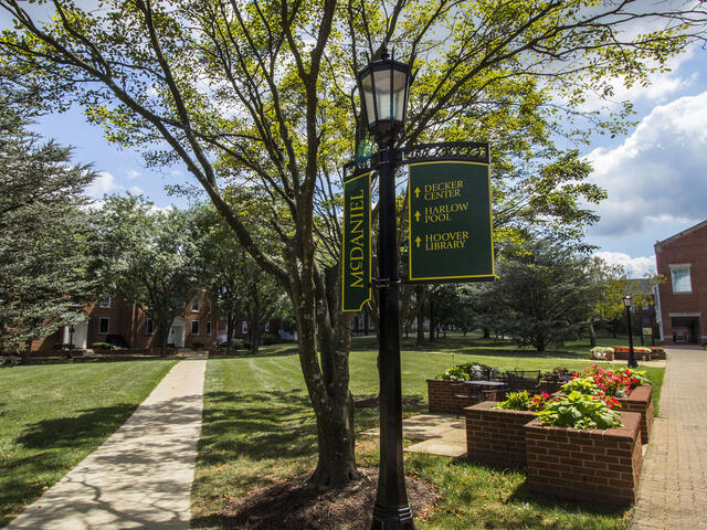 Quad Walkway