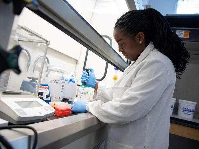 A student in a lab coat uses a pipette in front of a lab fume hood.