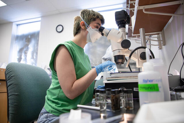 A student in a green shirt looks into a microscope. 