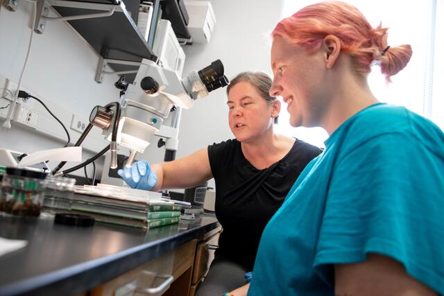 A student looks into a microscope while seated next to a professor. 