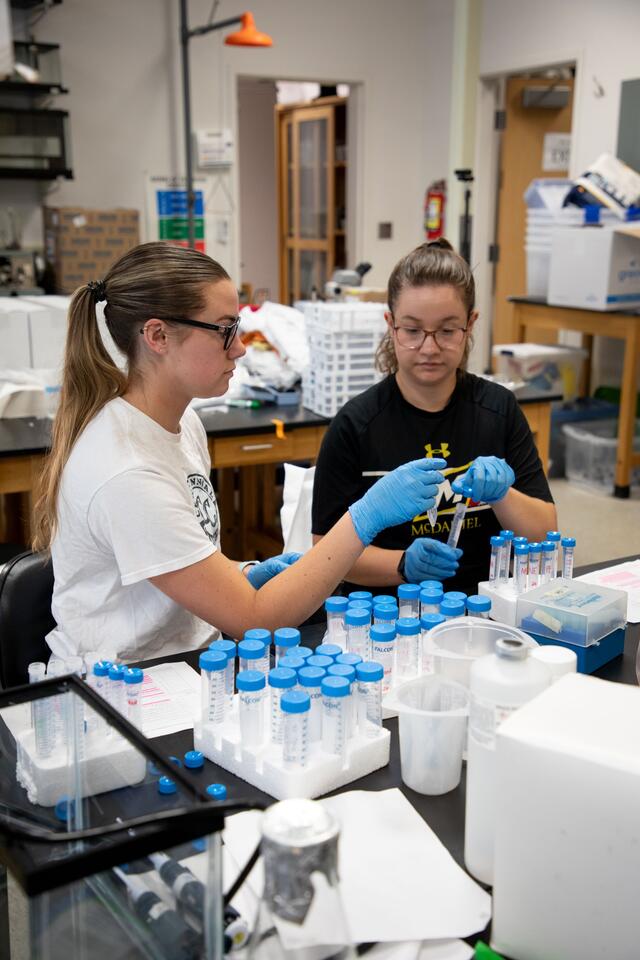 Two research students in a McDaniel lab work together with test tubes.