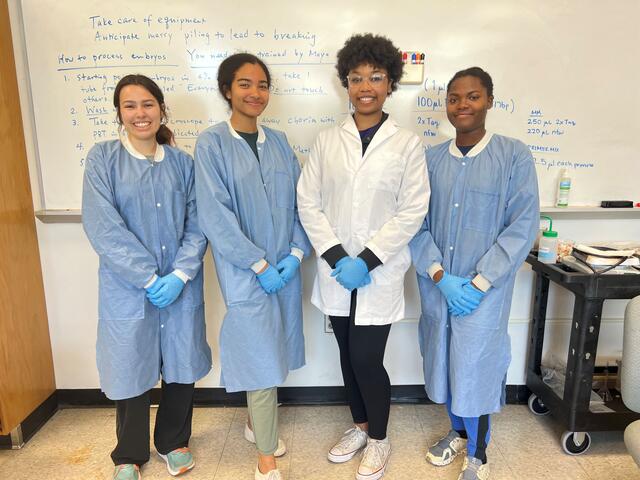 Four McDaniel Biology research students stand together in lab coats in front of a white board.