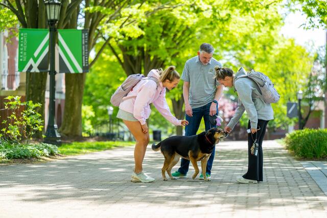 Three people pet a dog while standing on a pathway on the McDaniel campus.