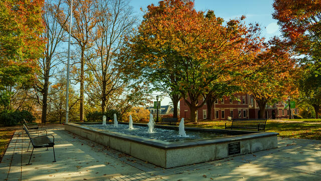 McTeer-Zepp Plaza Fall 